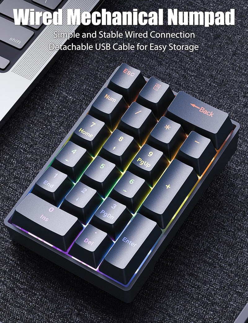TISHLED Wired Mechanical Numpad Rainbow LED Backlit 20-Key Number Pad Brown Switches Shine Through Keycaps Detachable Cable Numeric Keyboard for PC/Laptop/Win/Mac, White - Image 2